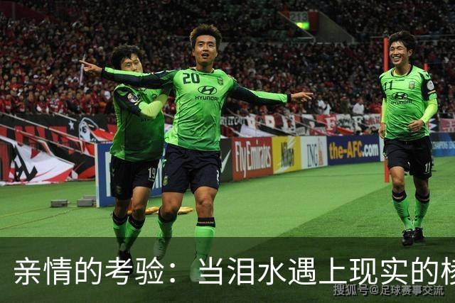 亲情的考验：当泪水遇上现实的棱角